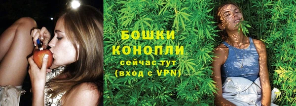 бутират Гусиноозёрск