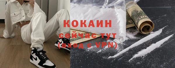 Альфа ПВП Гусев