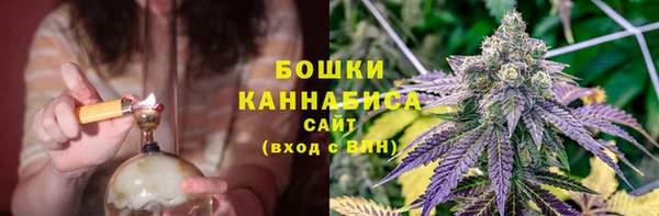 Альфа ПВП Гусев