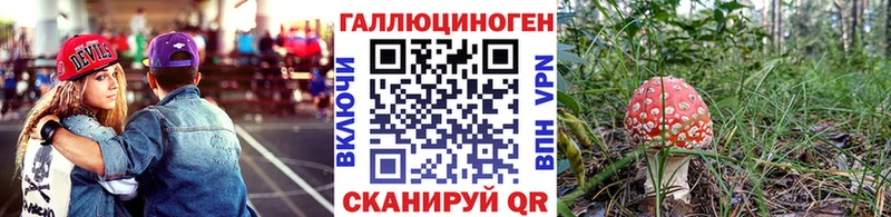 закладка Меленки Псилоцибиновые грибы мухоморы